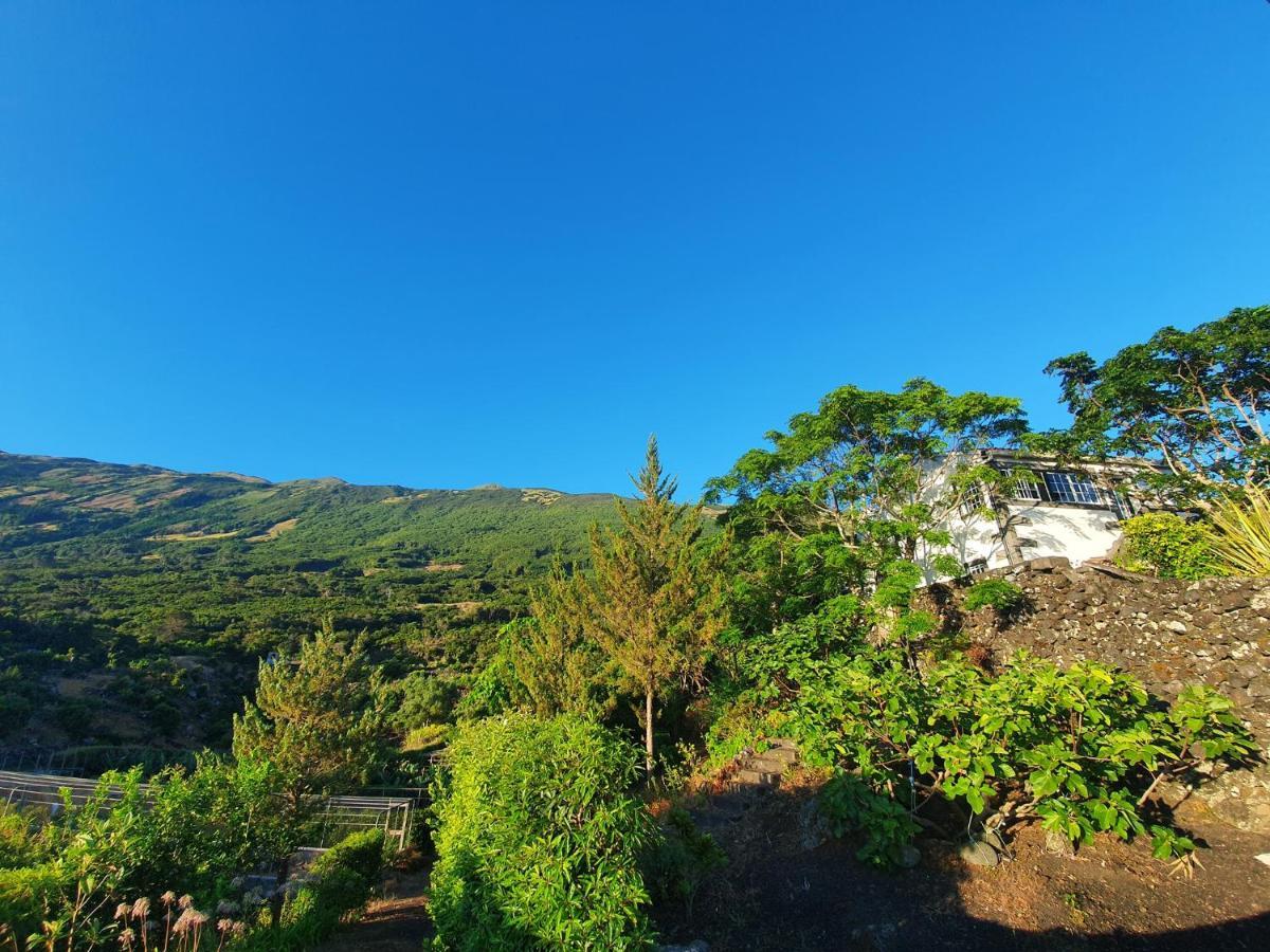 Casa Do Gato Preto Βίλα Santo Amaro  Εξωτερικό φωτογραφία