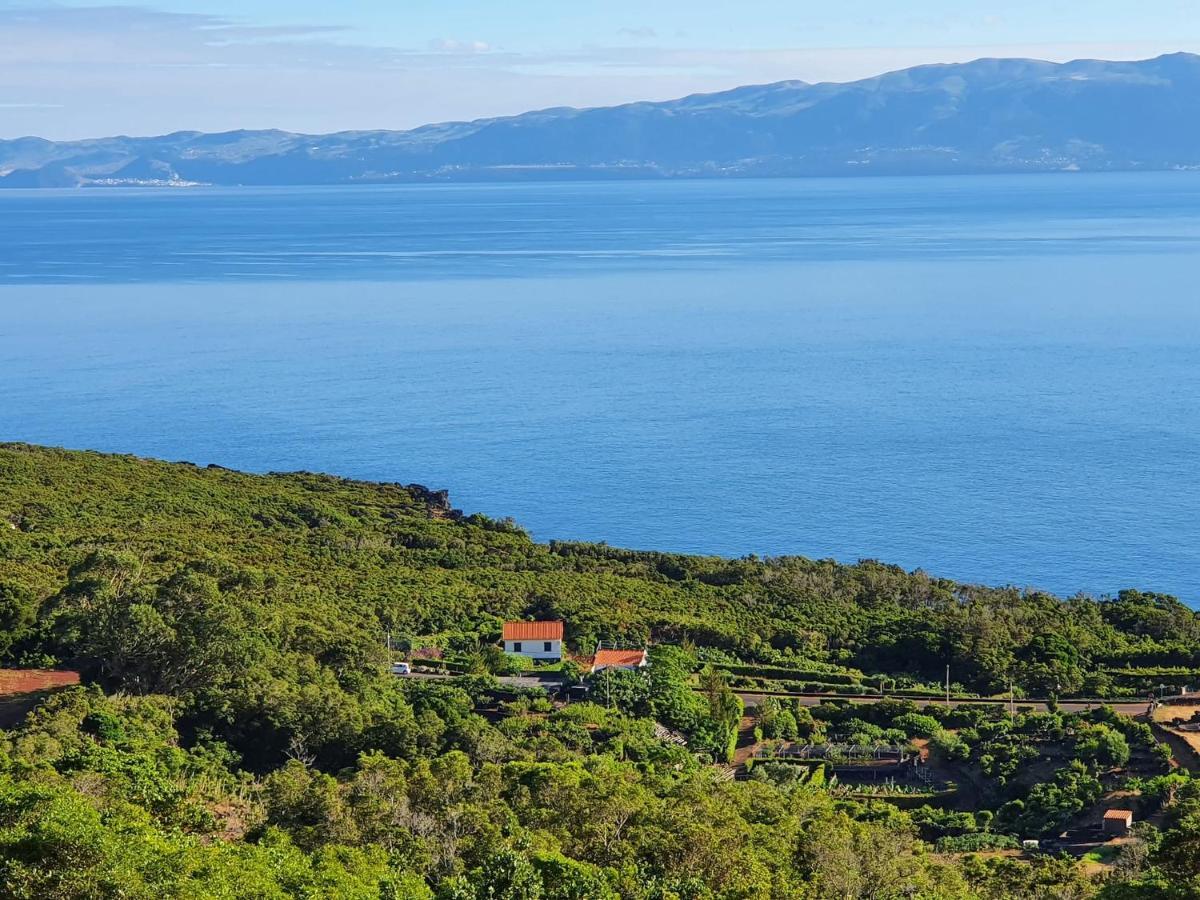 Casa Do Gato Preto Βίλα Santo Amaro  Εξωτερικό φωτογραφία