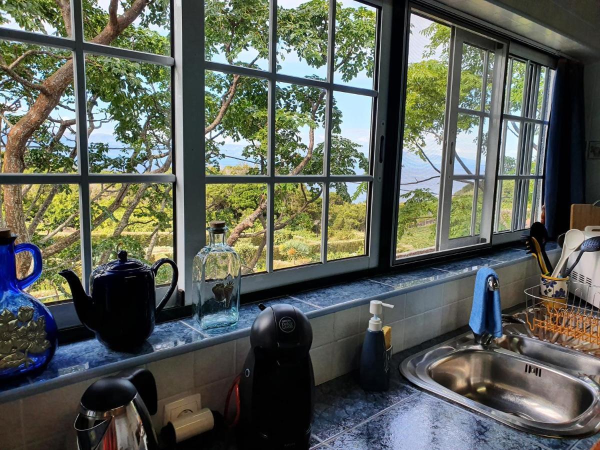 Casa Do Gato Preto Βίλα Santo Amaro  Εξωτερικό φωτογραφία